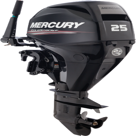 MERCURY F25 HP 
